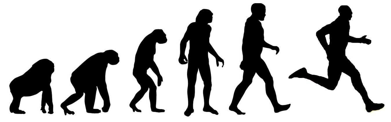 1348x421 evolution drawing human being for free download - Evolution Drawing