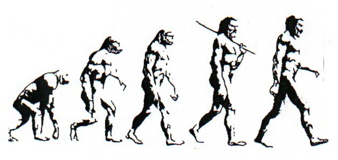 Funny Evolution Chart