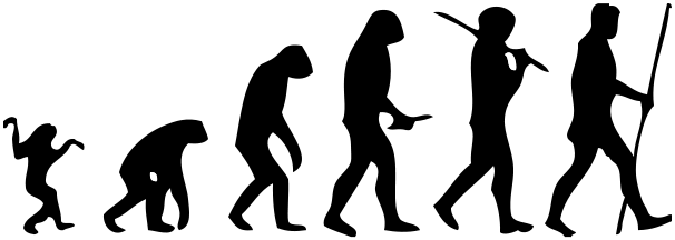 606x216 filehuman evolution man - Evolution Of Man Drawing
