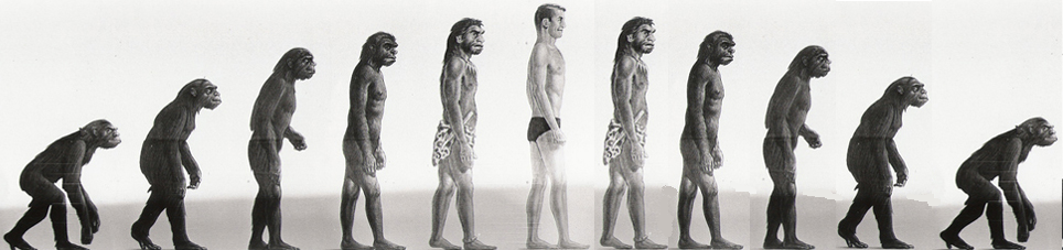 964x227 human evolution - Evolution Of Man Drawing