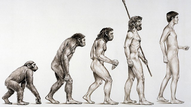 640x360 And Then, We All Became White Men Casual Racism In Evolutionary - Evolution Of Man Drawing