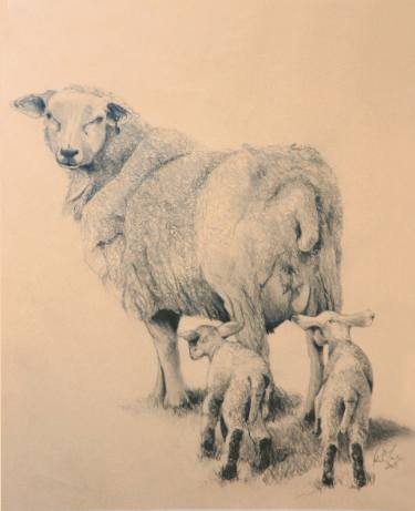 375x461 ewe and two lambs drawing - Ewe Drawing