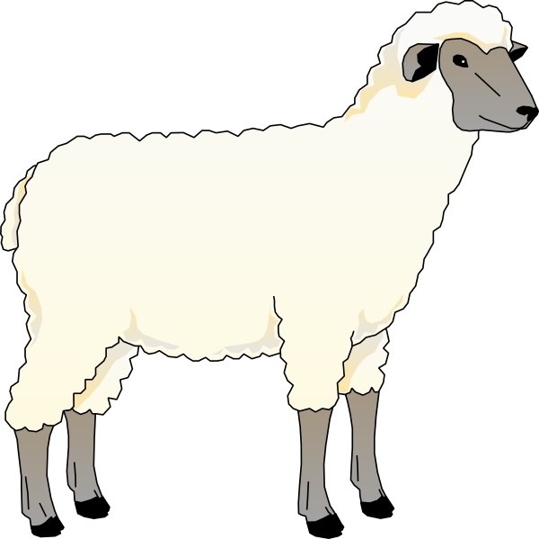 600x599 Sheep Ewe Clip Art Free Vector In Open Office Drawing - Ewe Drawing