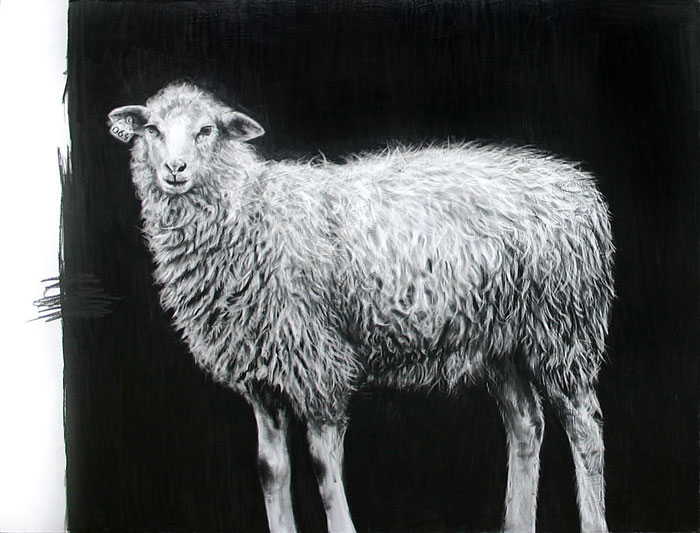 700x533 The Little Ewe Ingrid Blixt - Ewe Drawing