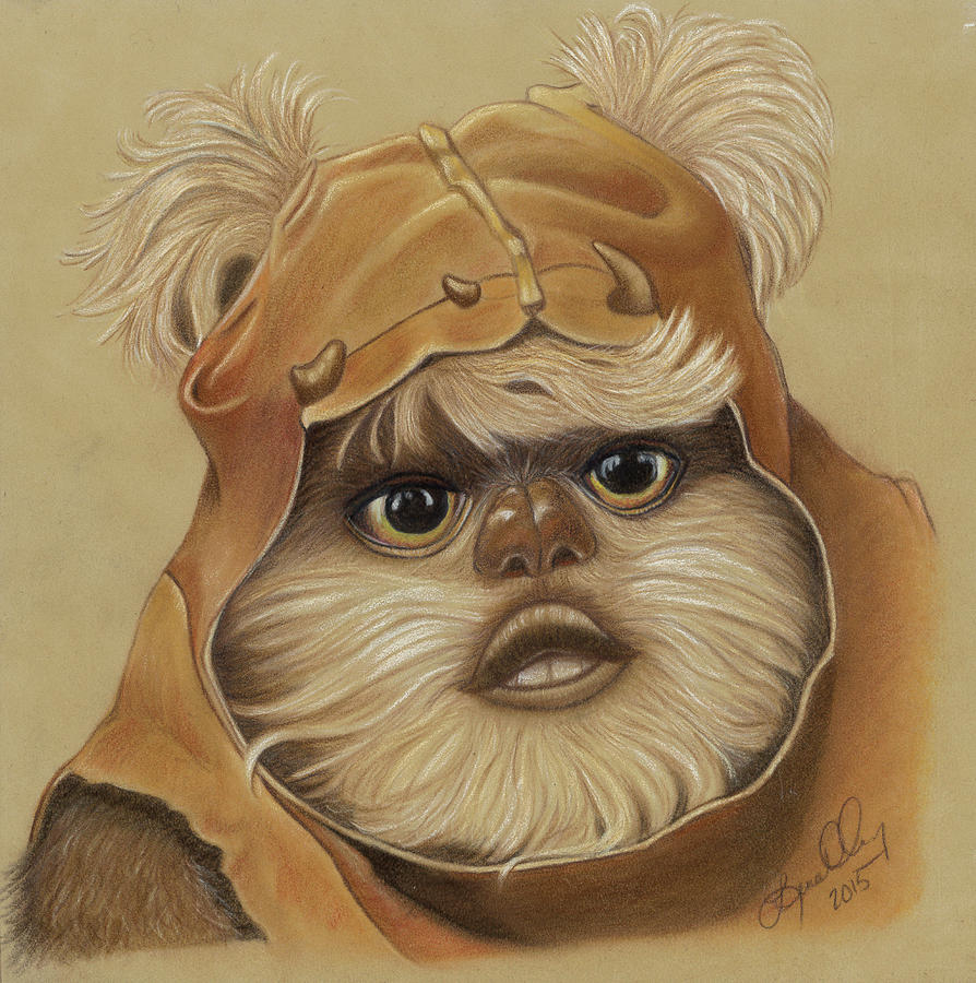894x900 Ewok Drawing - Ewok Drawing