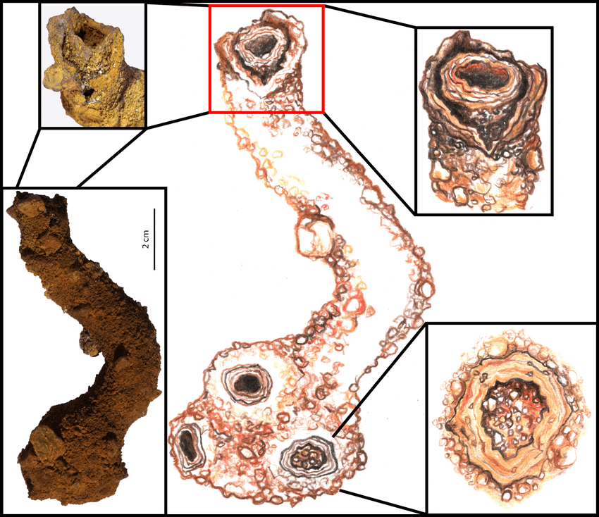 850x734 The Graphic Shows Different Parts Of The Sample Ba - Exaggerated Drawings