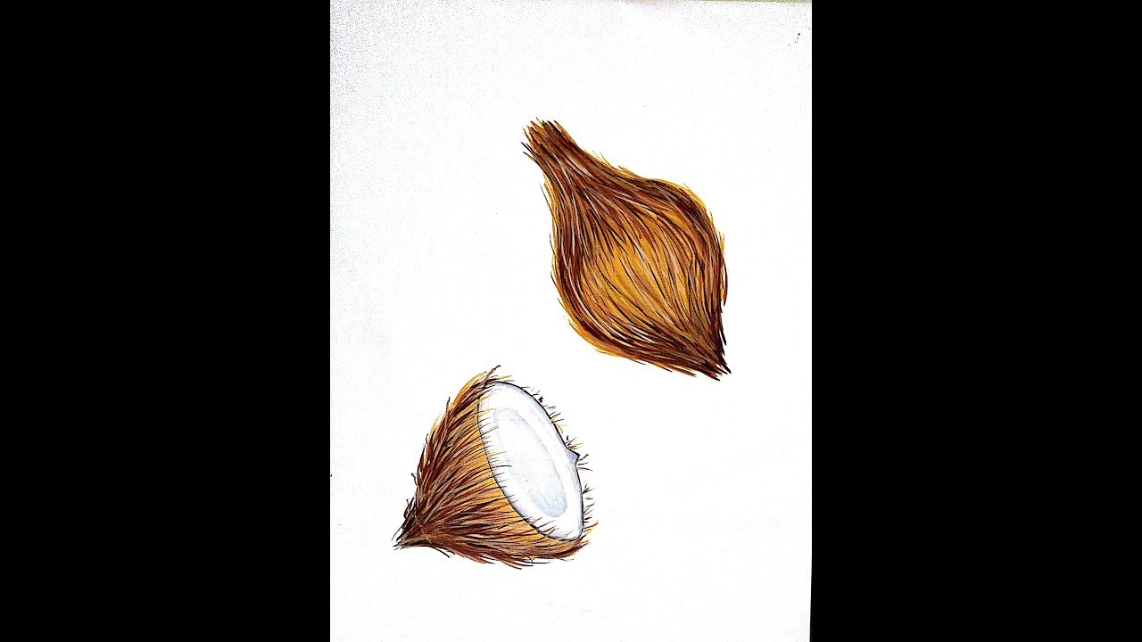 1280x720 how to draw paint coconut elementary intermediate grade exam - Exam Drawing