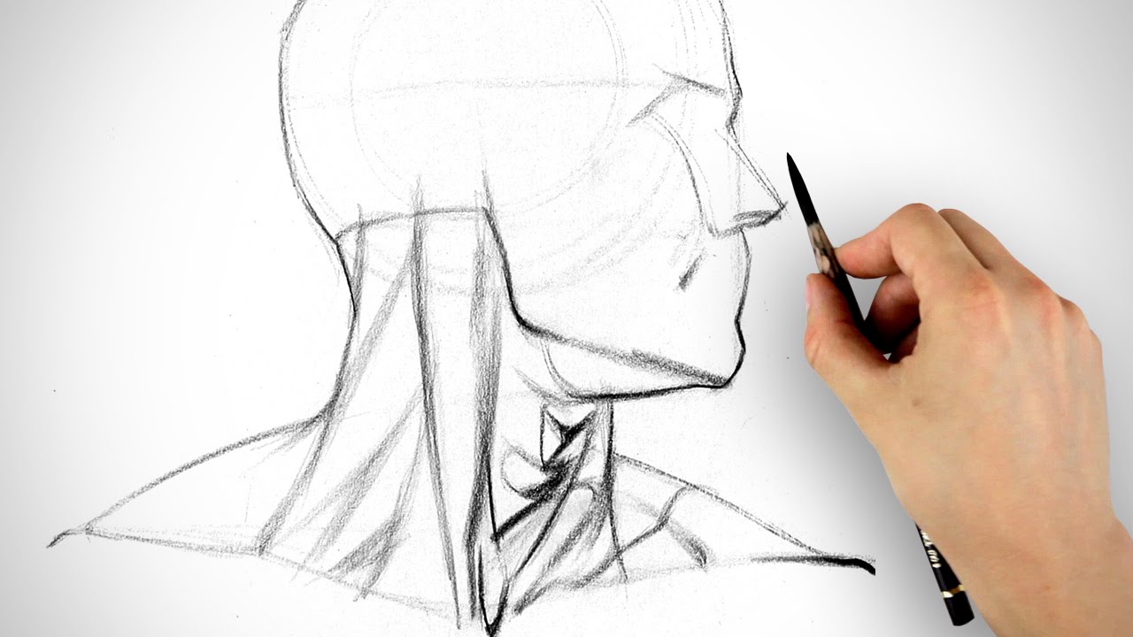 1280x720 Learn To Draw The Neck - Example Drawing