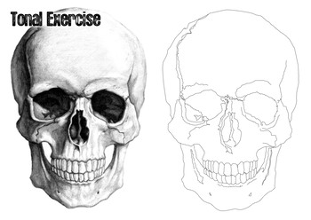 350x248 tonal drawing exercise - Exercise Drawings