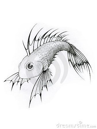 338x450 drawn fishing exotic fish - Exotic Fish Drawing