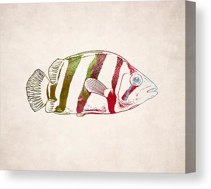 678x609 exotic fish drawing canvas print canvas art - Exotic Fish Drawing
