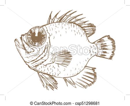 450x366 exotic ocean fish vector, sketch, hand drawn illustration of fish - Exotic Fish Drawing
