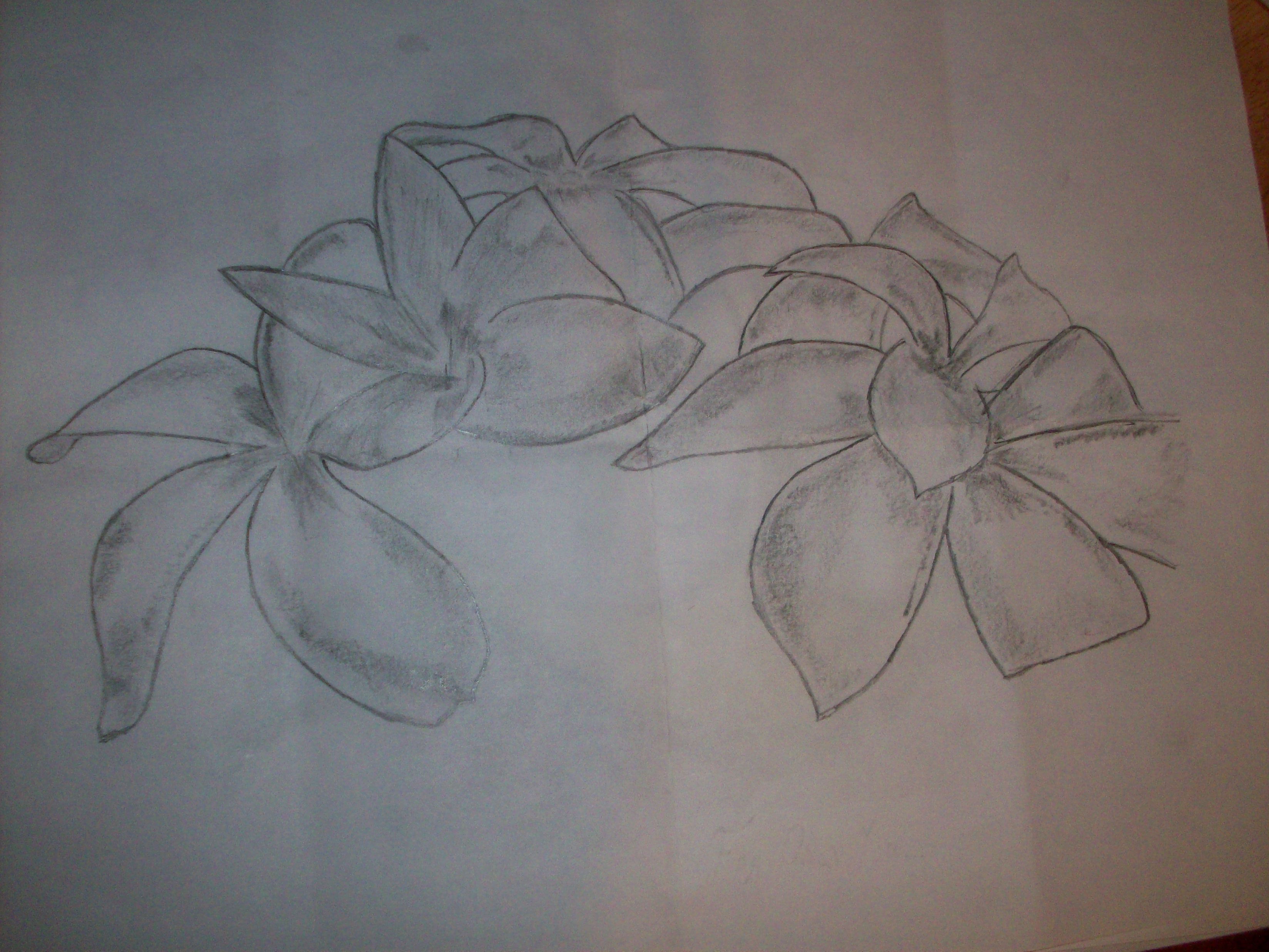 3296x2472 exotic flowers drawing = love - Exotic Flower Drawings
