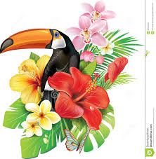 222x227 free pictures of exotic flowers - Exotic Flower Drawings