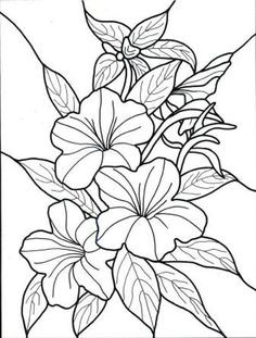 236x311 inspirational exotic flower coloring pages - Exotic Flower Drawings