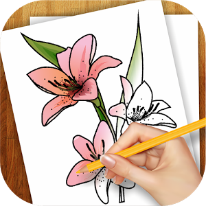 300x300 learn to draw exotic flowers - Exotic Flower Drawings
