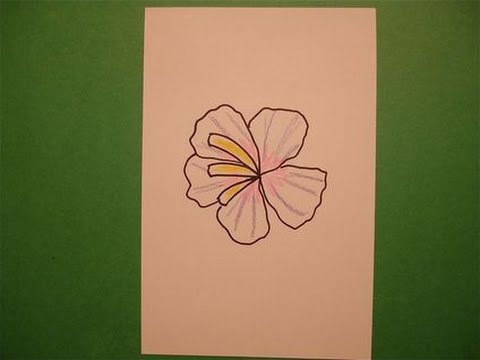480x360 Let's Draw A Tropical Flower! - Exotic Flower Drawings