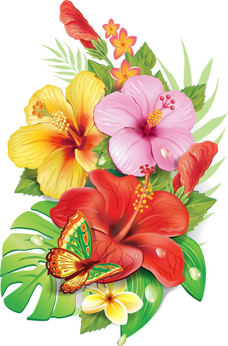 800x1214 Thursday Resource How To Draw Flowers Tattoos Tropical Flower - Exotic Flower Drawings