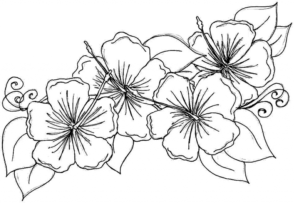 1024x708 cool design exotic flower coloring pages lotus tropical - Exotic Flower Drawings