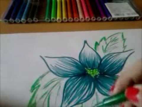 480x360 Tropical Flower Drawing - Exotic Flower Drawings