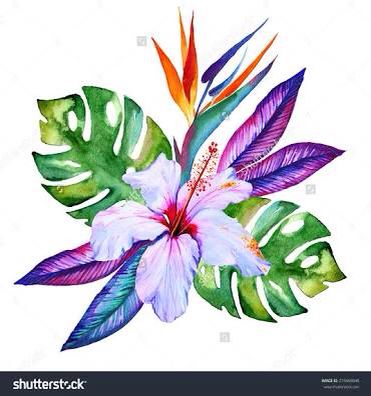 371x396 Tropical Flowers - Exotic Flower Drawings