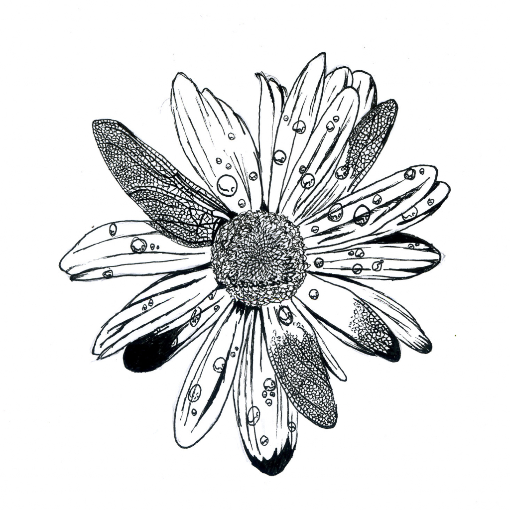 1024x1024 Unique Flower Drawings Flower Drawing In Fringe Ideas - Exotic Flower Drawings