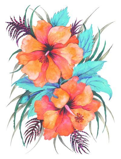 400x526 Tropical Flower Drawing - Exotic Flower Drawings