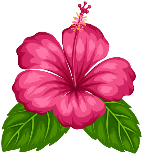 461x500 exotic flower drawings - Exotic Flower Drawings