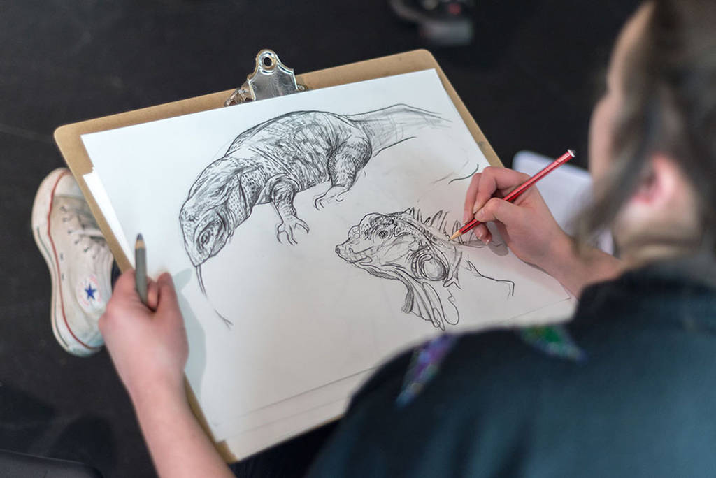 1024x684 Wild Life Drawing Experience For One - Experience Drawing