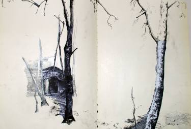 375x254 Experimental Drawing Drawing - Experimental Drawing