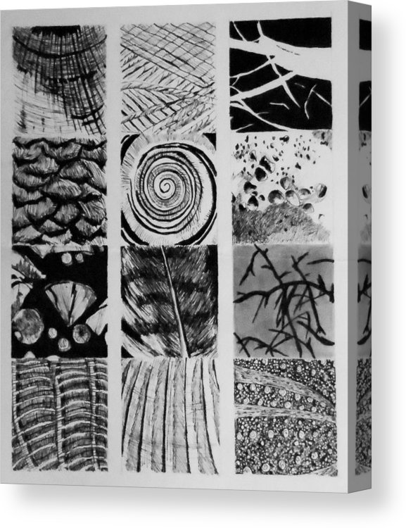 577x750 Still Life Experimental Drawing Canvas Print Canvas Art - Experimental Drawing