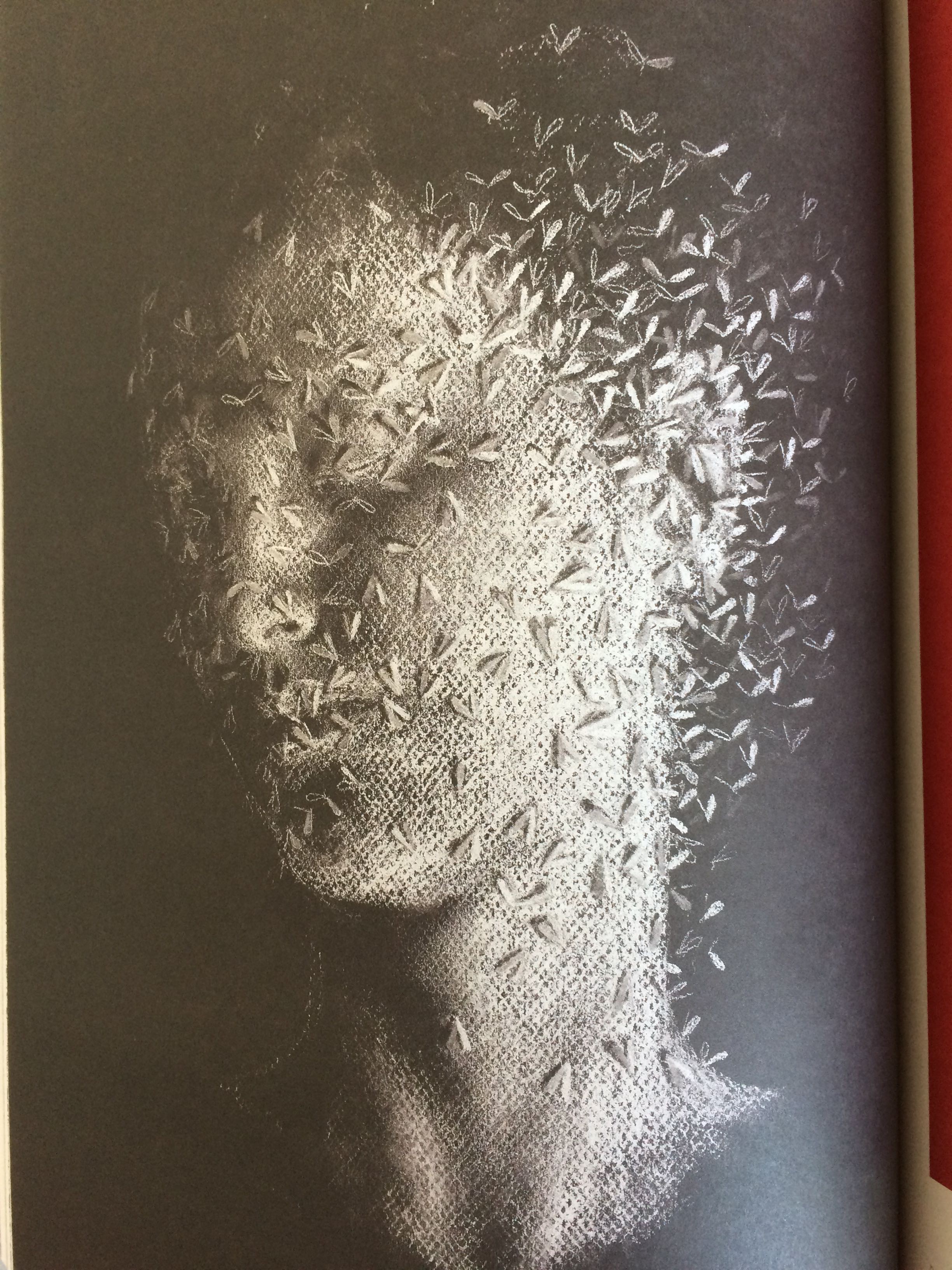 2448x3264 Experimental Drawing Smells Contemporary - Experimental Drawing