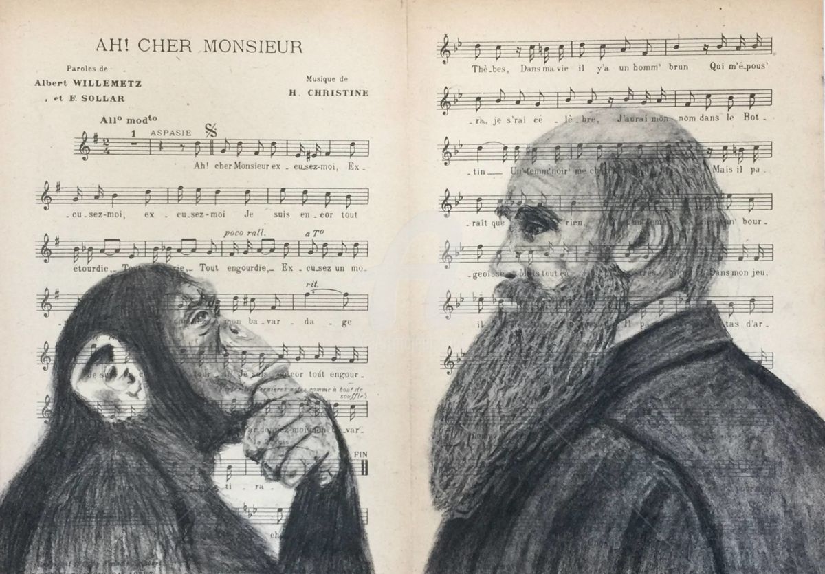 1200x835 Darwin's Explanation Drawing - Explanation Drawing