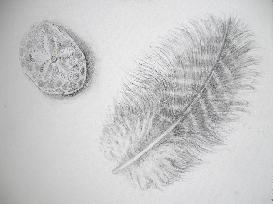 900x672 expressive lines - Expressive Line Drawing