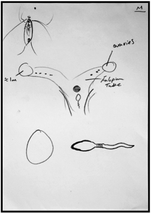 518x729 Male Student's Drawing That Includes An External View - External Drawing