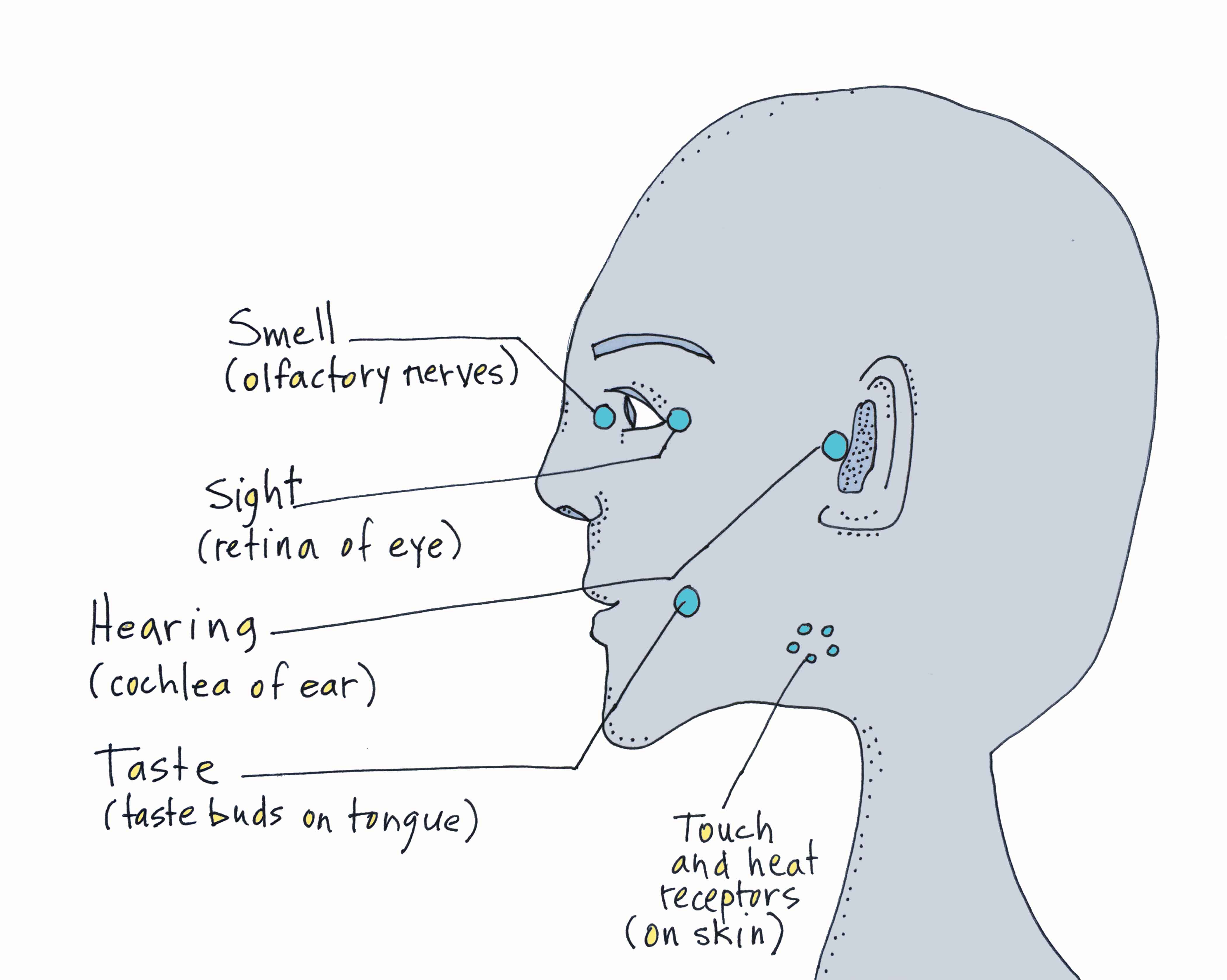 4200x3356 Art Every Day Number Illustration Drawing External - External Drawing