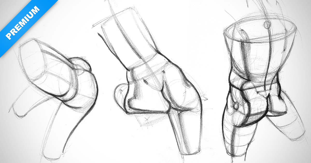 1200x630 how to draw butts from extreme angles proko - Extreme Drawing