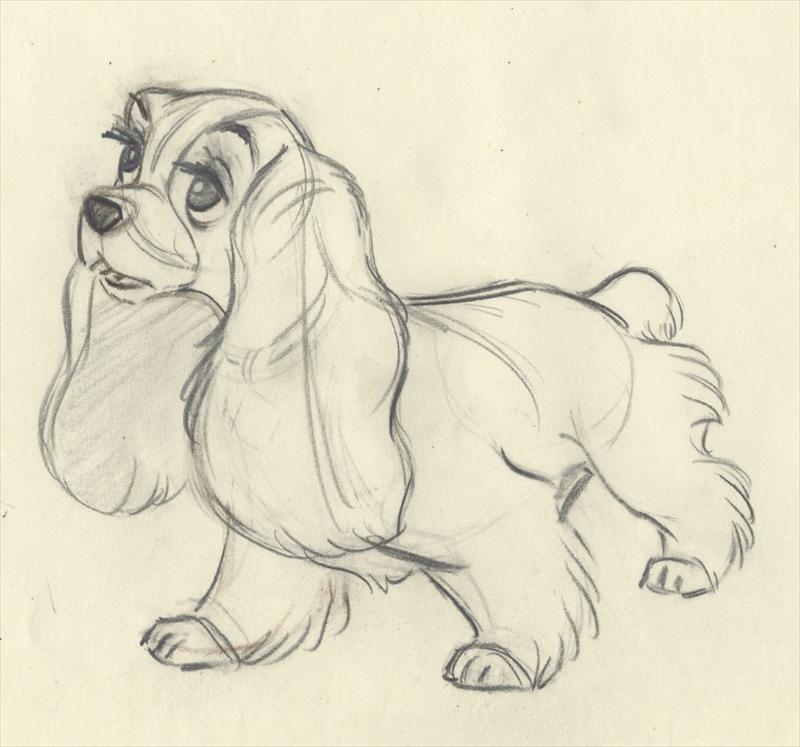 800x747 disney lady and the tramp full figure - Extreme Drawing