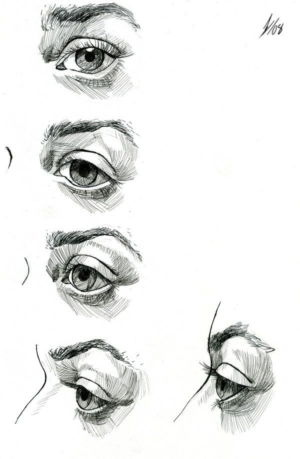 600x918 Eye Study - Eye Anatomy Drawing