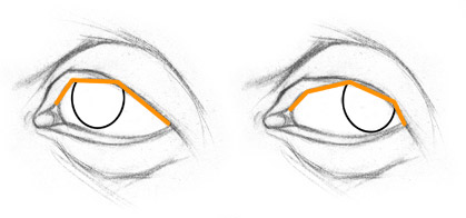 419x196 How To Draw Eyes Stan Prokopenko's Blog - Eye Anatomy Drawing