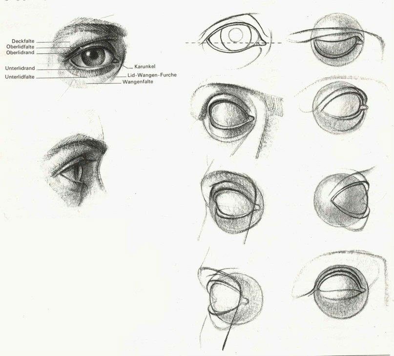 Realistic Drawings, Eye Drawing, Human Anatomy Art 604
