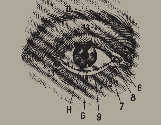660x510 Human Eye Anatomy - Eye Anatomy Drawing