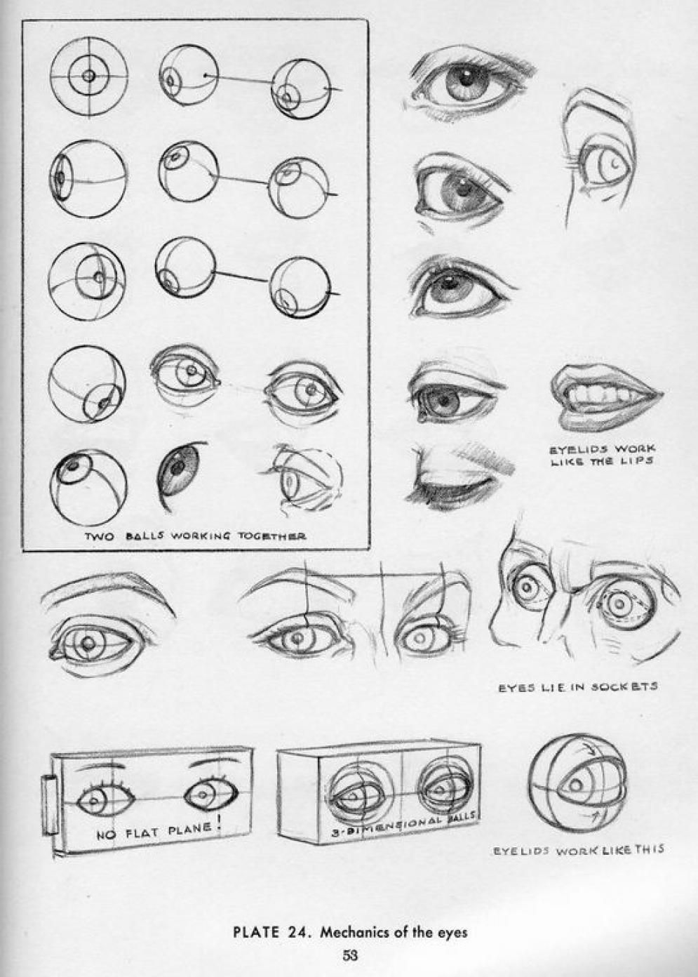 995x1392 sculpting eyes drawing the human body drawings, andrew loomis, art - Eye Anatomy Drawing