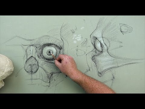 480x360 anatomy for artists eye anatomy - Eye Anatomy Drawing