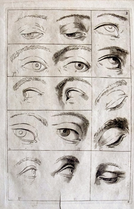 455x710 Anatomy Of Eye Drawing The At Getdrawings Com Free For Personal - Eye Anatomy Drawing