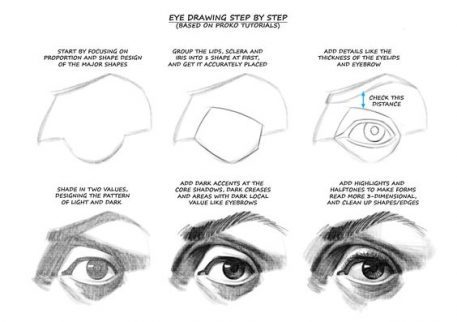 457x322 Character Design Collection Eyes Anatomy - Eye Anatomy Drawing