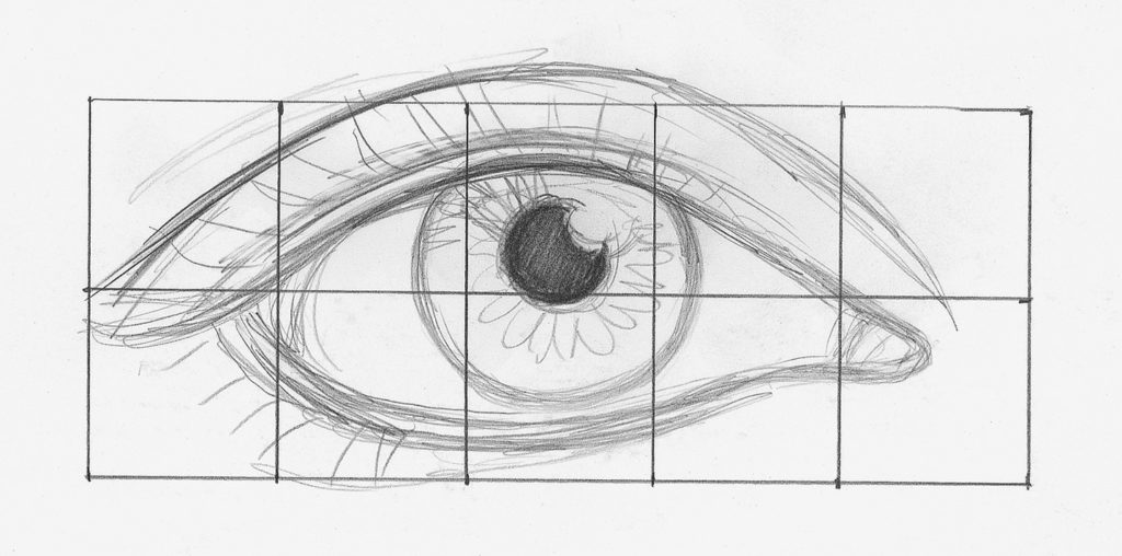 1024x508 Draw Facial Features With This In Depth Beginner's Guide - Eye Anatomy Drawing