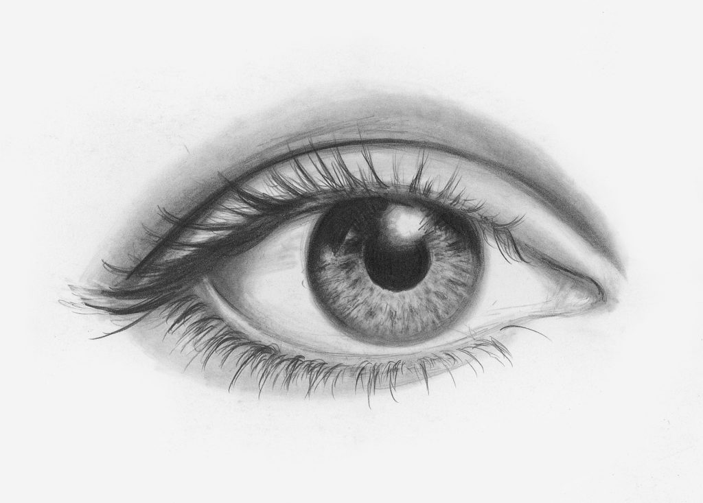 1024x733 Draw Facial Features With This In Depth Beginner's Guide - Eye Art Drawing