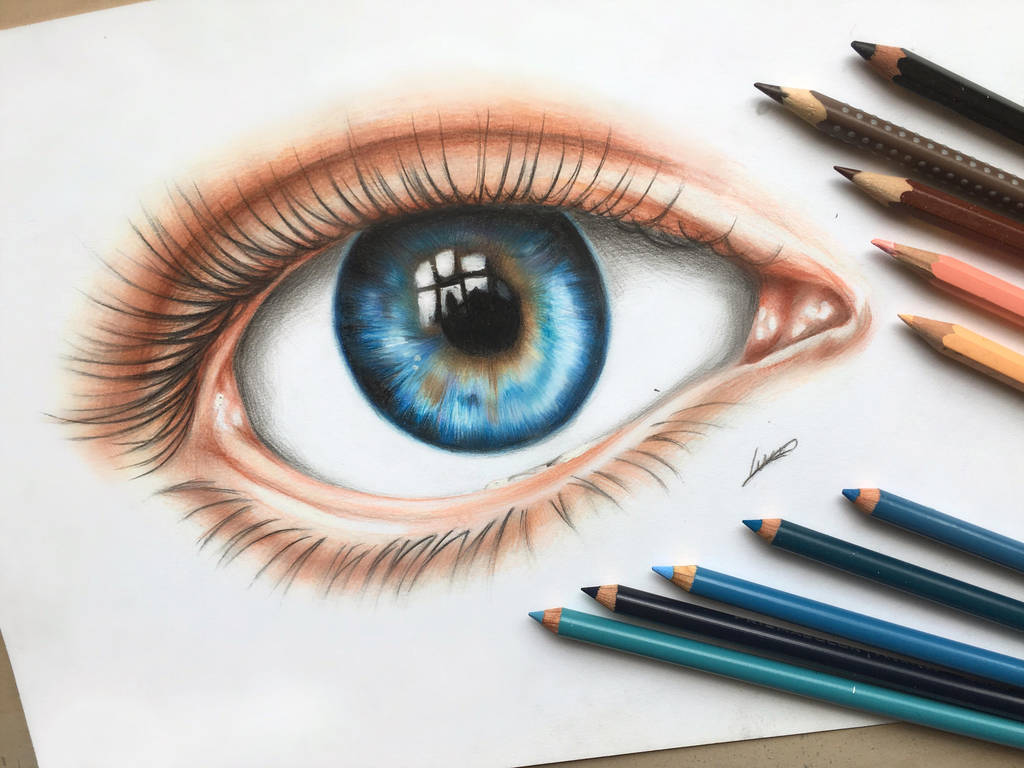1024x768 Blue Realistic Eye Drawing Color Pencils - Eye Color Pencil Drawing