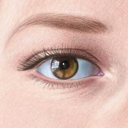 250x250 Color Pencil Portraits - Eye Color Pencil Drawing